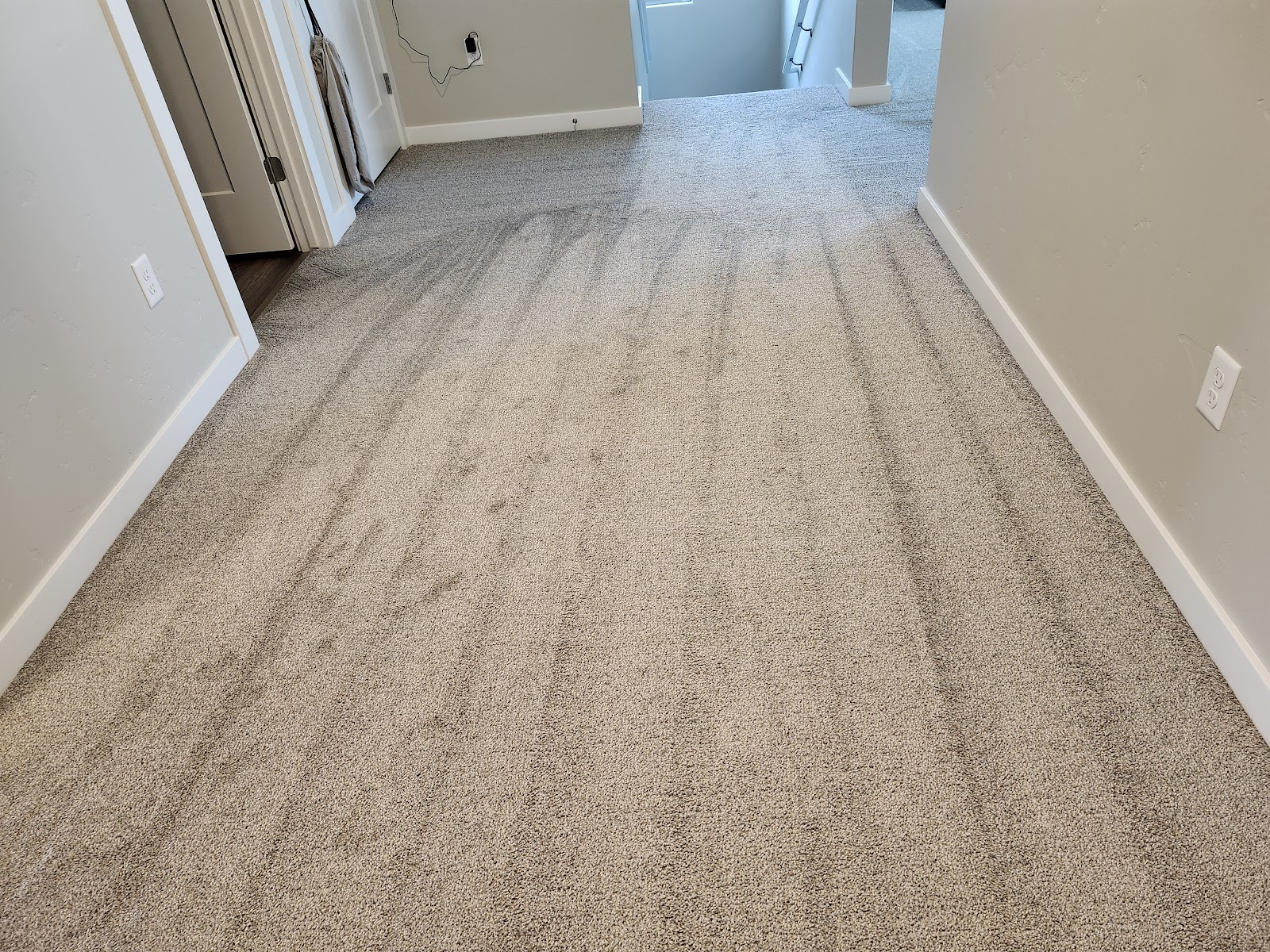 Freshly vacuumed carpet with clean lines in an Idaho home