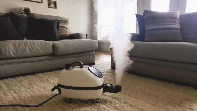 Carpet and rug steam cleaning by Sophisticated Cleaners in an Idaho living room